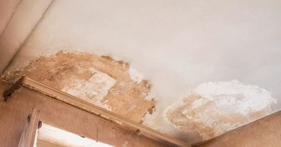 Olvídate de la humedad en techo y paredes de tu casa: 5 trucos infalibles contra lluvias
