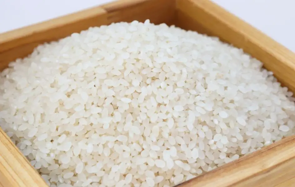 arroz en el baño
