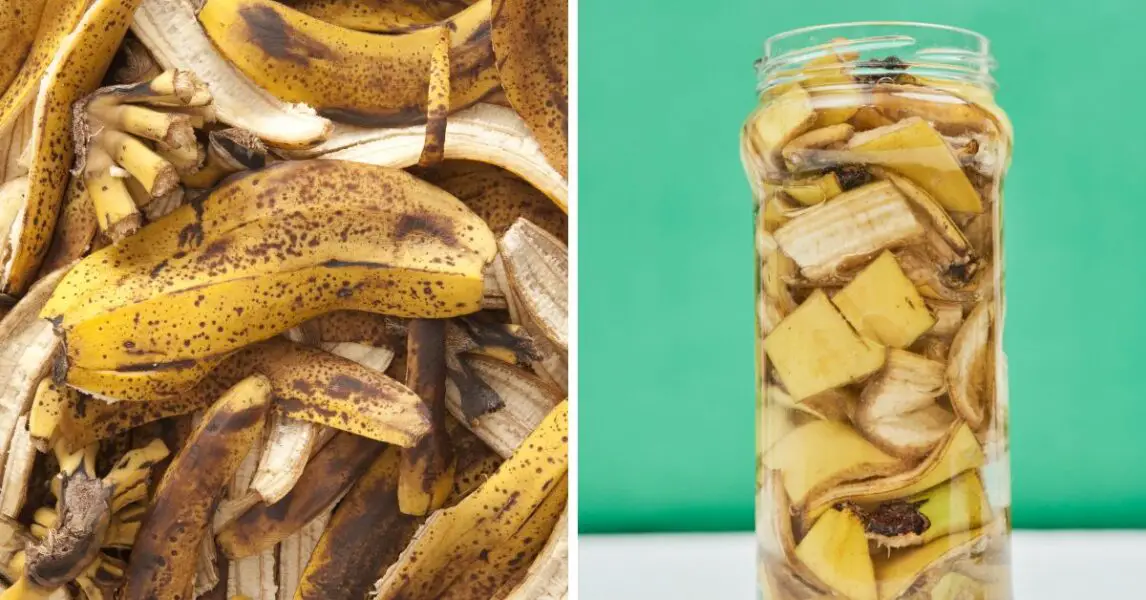 Qué hacer con las cáscaras de plátano o banana