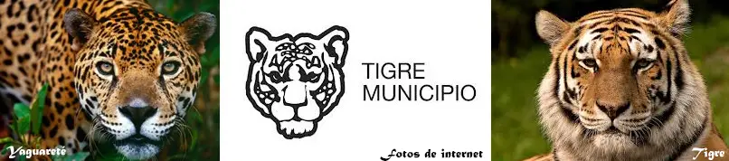 Tigre ok