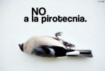 images-ave-no-a-la-pirotecnia-507x343