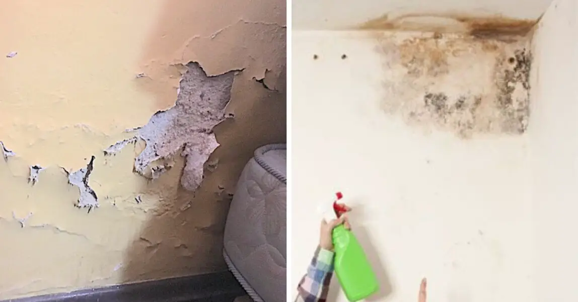 Comment enlever l'humidité des murs pour qu'elle ne revienne jamais