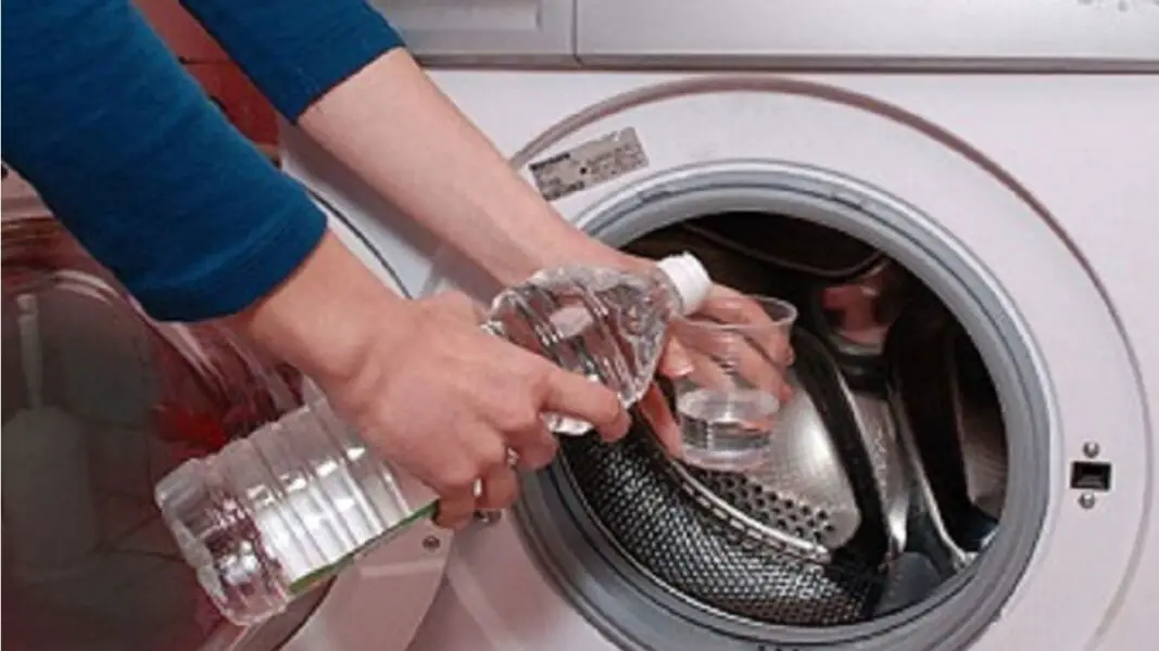 Malentendido Permanece eficacia Cómo limpiar el lavarropas (lavadora) con vinagre: 3 sencillos consejos |  Raza Folklorica!
