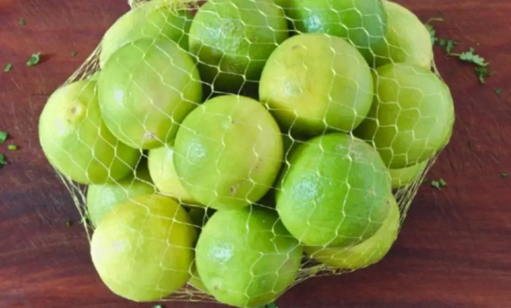Aprende a conservar los Limones frescos con este truco