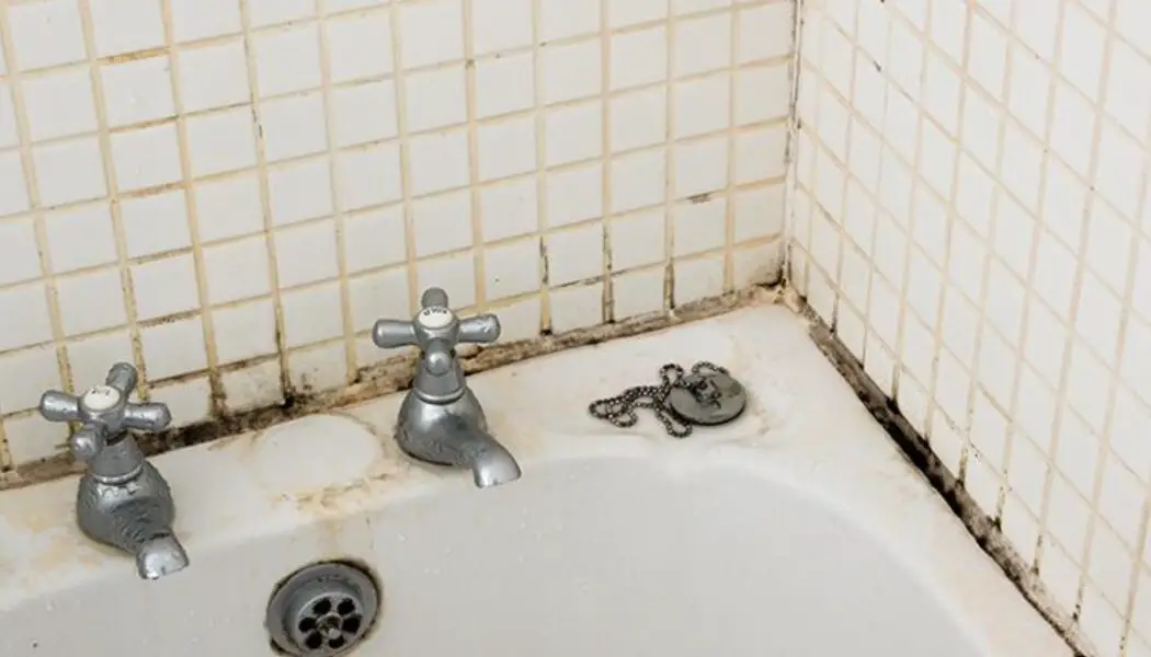 Truco para eliminar el moho negro de la silicona del baño de forma efectiva