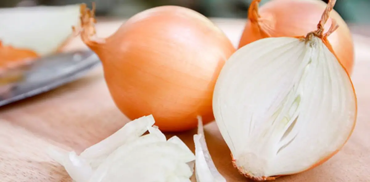 Para que sirve el shampoo con cebolla ¡Descubre todos sus beneficios!