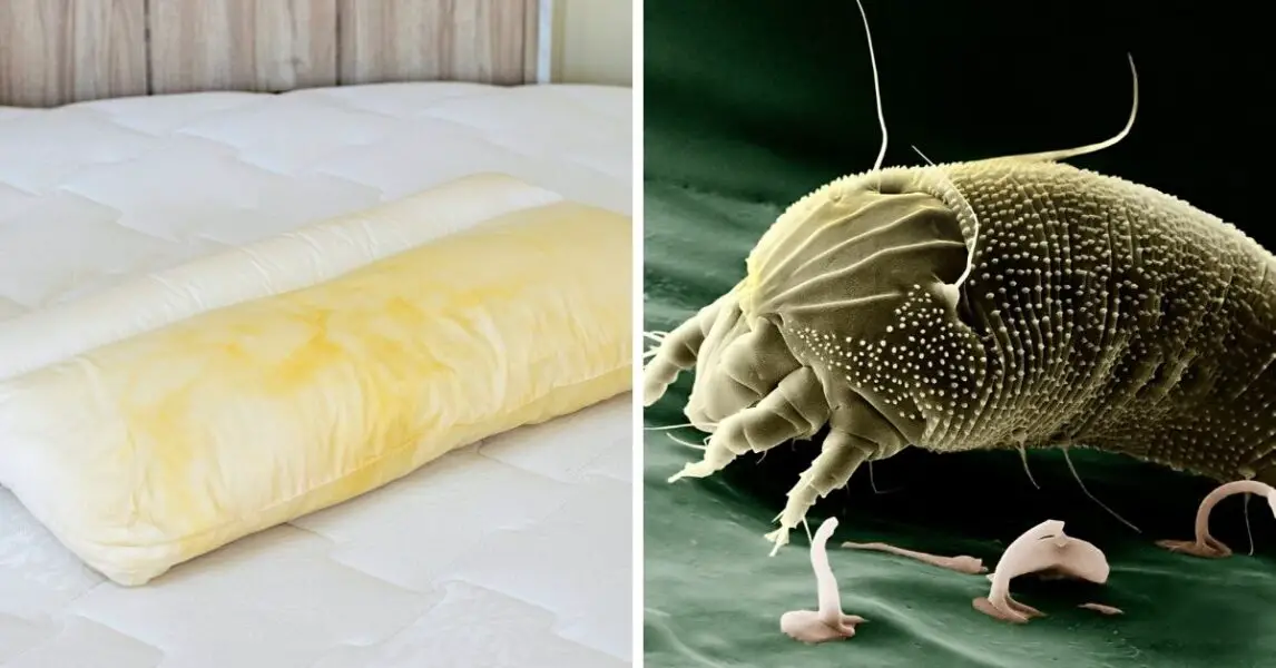 2 trucos efectivos para blanquear tus almohadas y el colchón de tu cama sin usar cloro