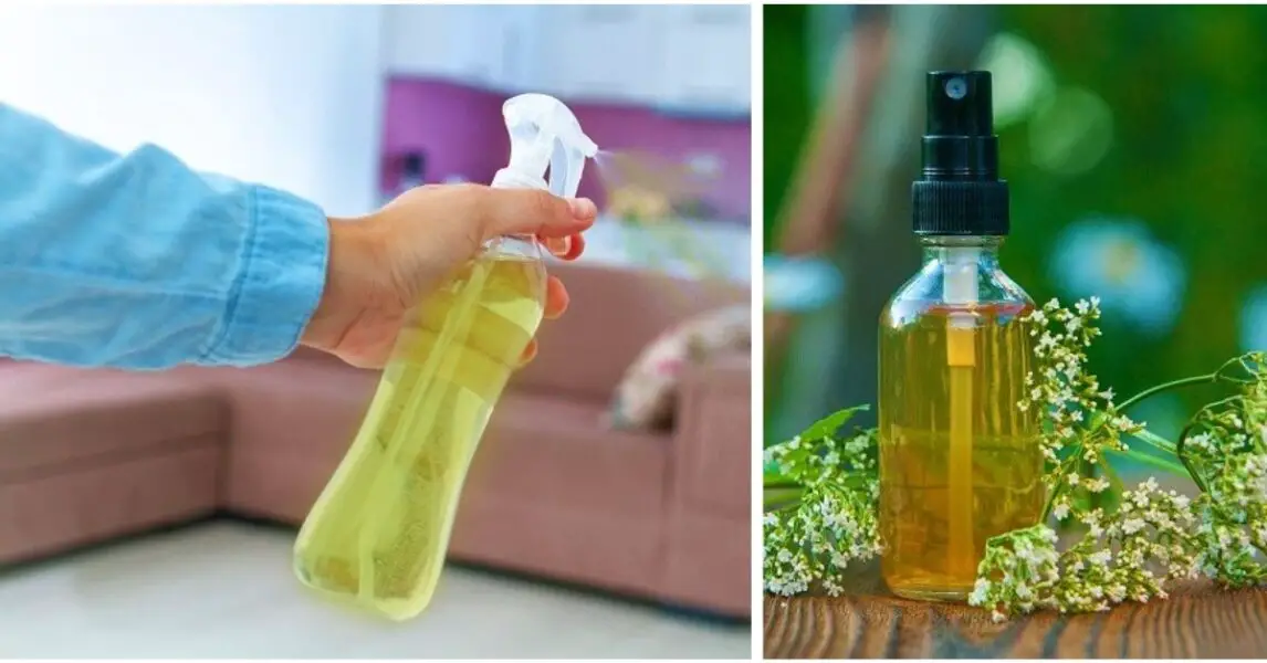 Spray Casero Para Eliminar Los Malos Olores De Tu Casa