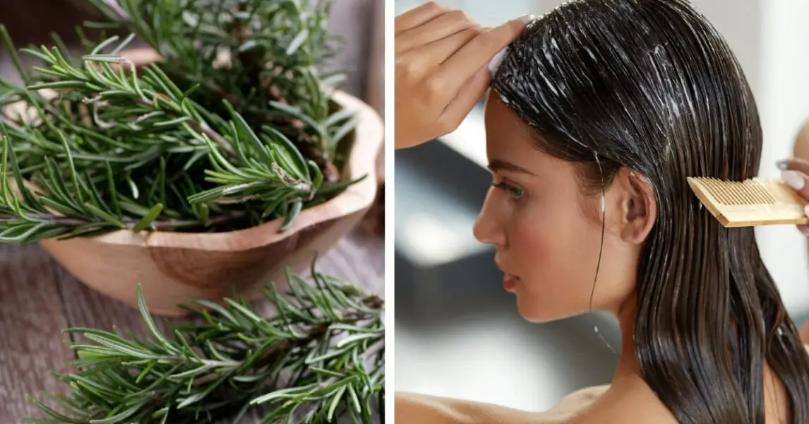 Cómo hacer mascarilla de romero para