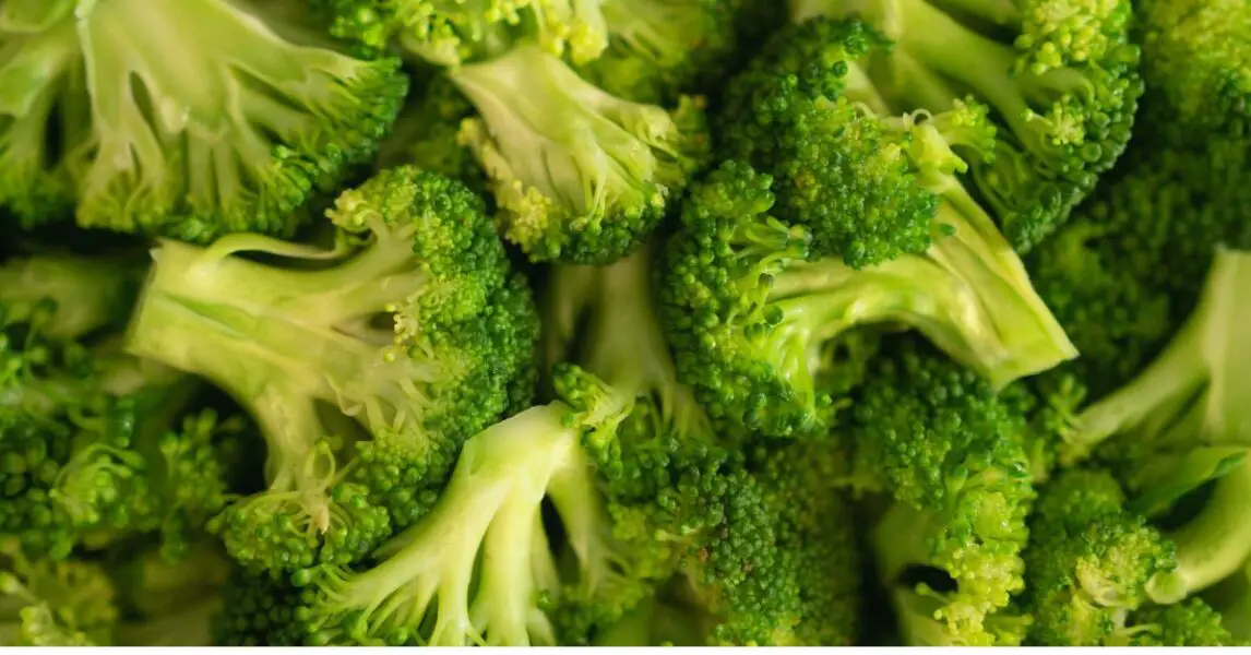 Receta de brócoli al vapor ¡saludable y fácil!