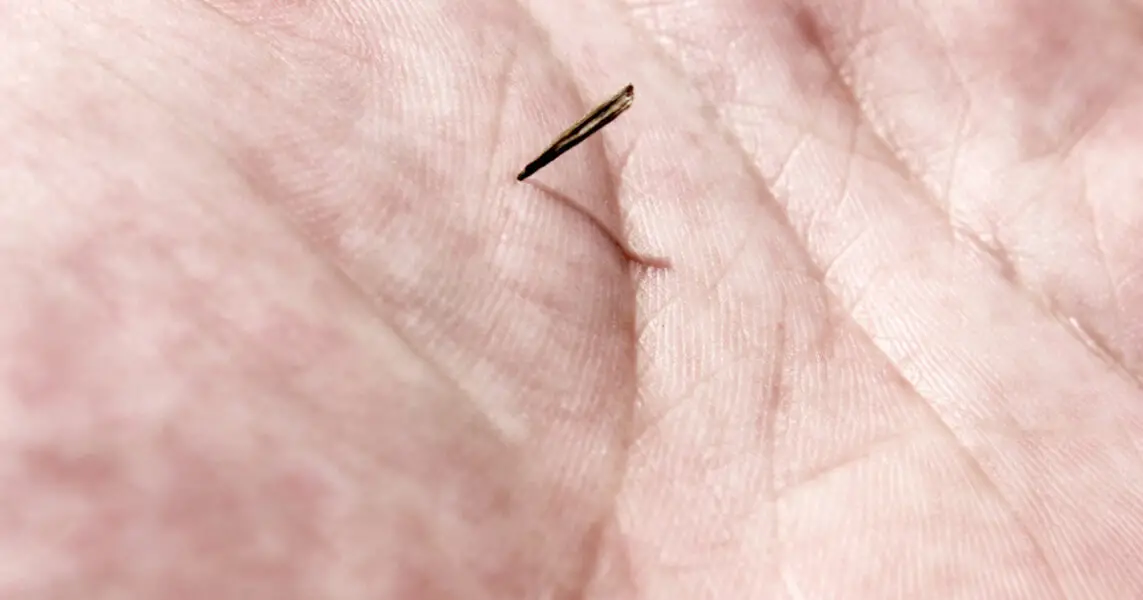 Que pasa si no me puedo