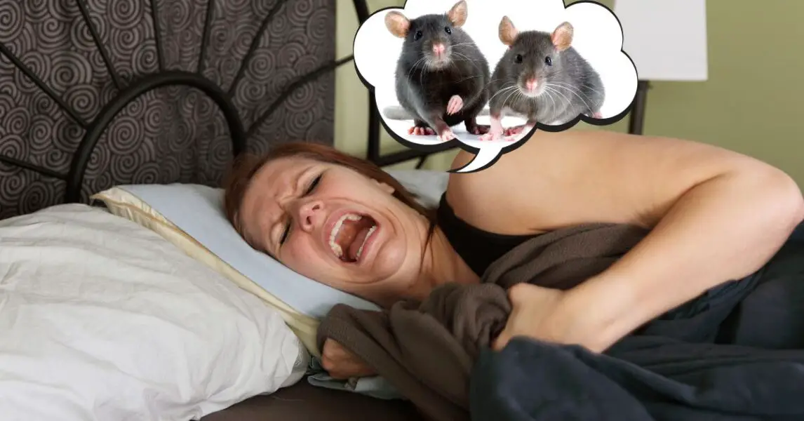 ¿Qué significa soñar con ratas debajo de la cama?