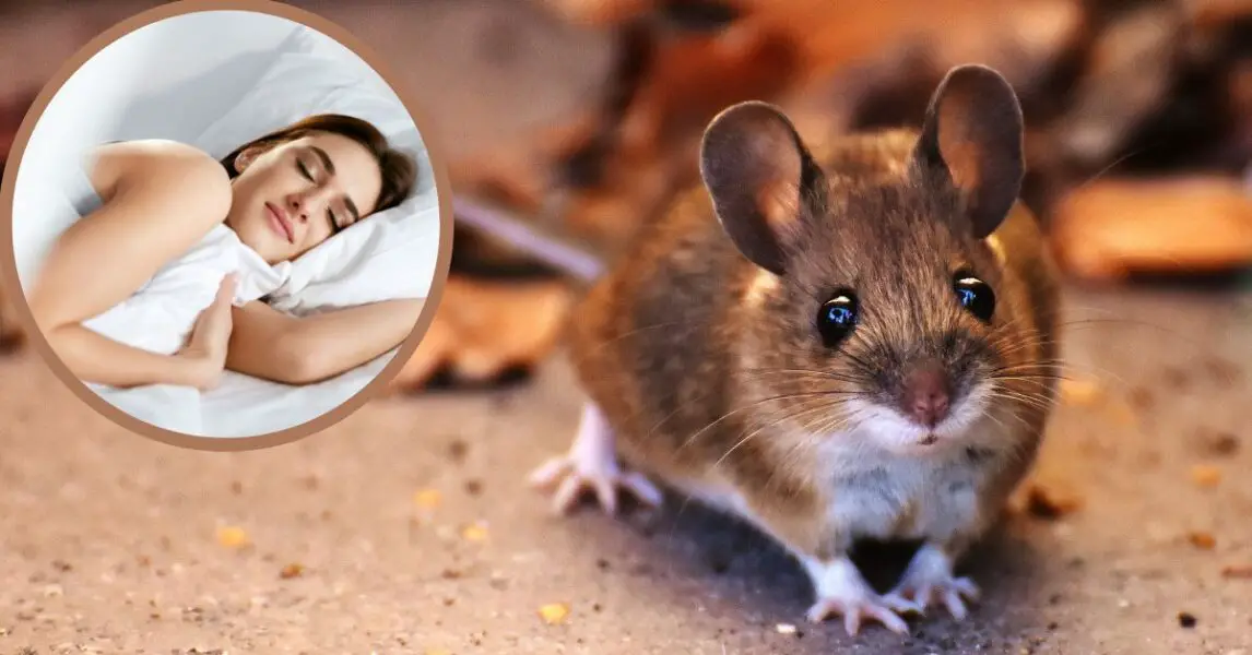 ¿Qué significa soñar con una rata gris corriendo?