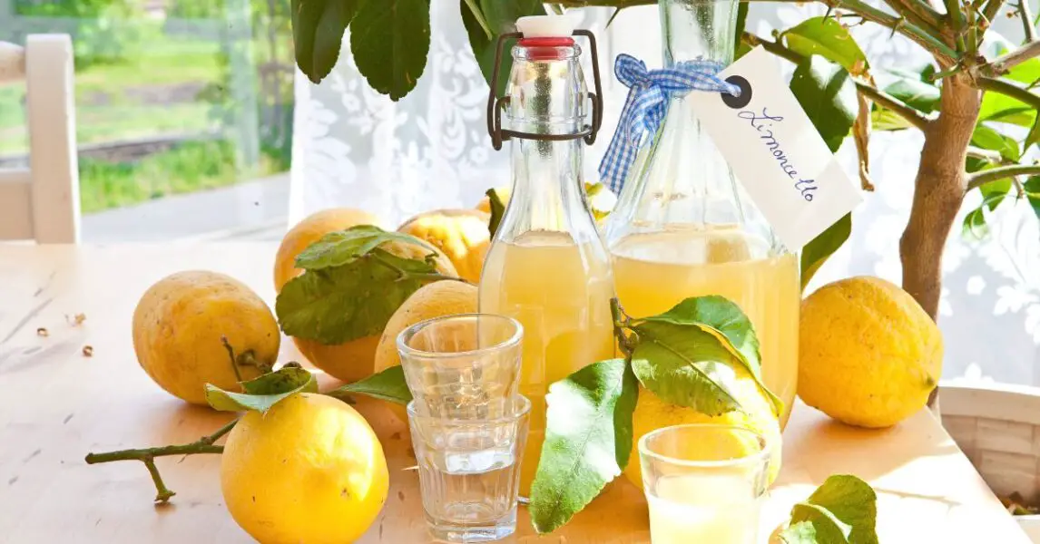 Cómo hacer Limoncello casero