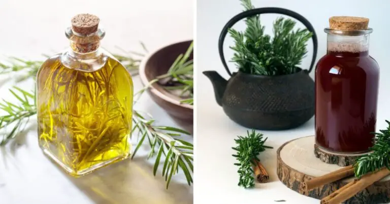 Como Preparar Agua De Guasimo Para El Cabello