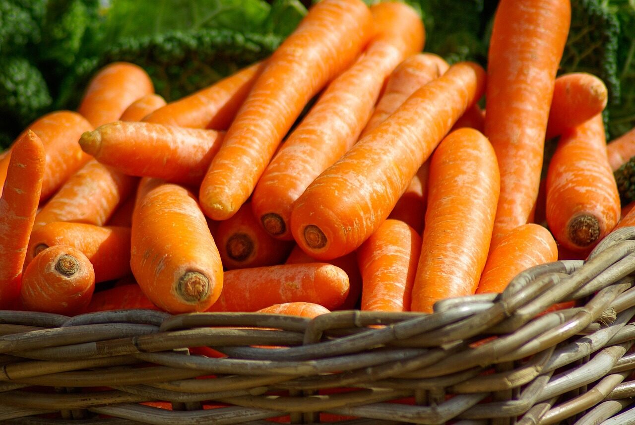 carrots, basket, vegetables, market, food, orange vegetables, harvest, produce, fresh, organic, fresh produce, vegetable basket, carrots, carrots, carrots, carrots, carrots, vegetables, vegetables, vegetables, vegetables