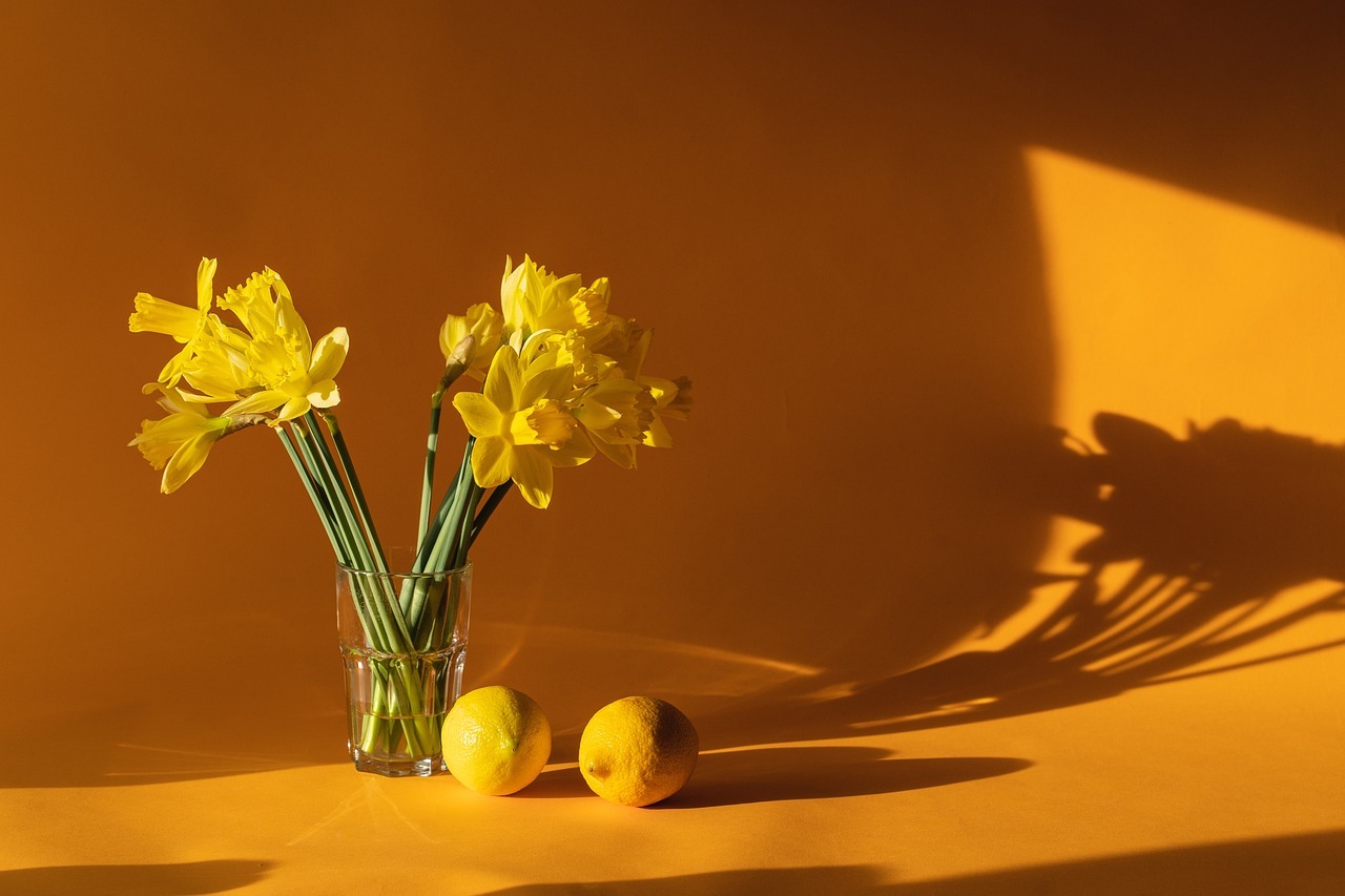 Ideas creativas de decoración con suculentas para embellecer tu hogar