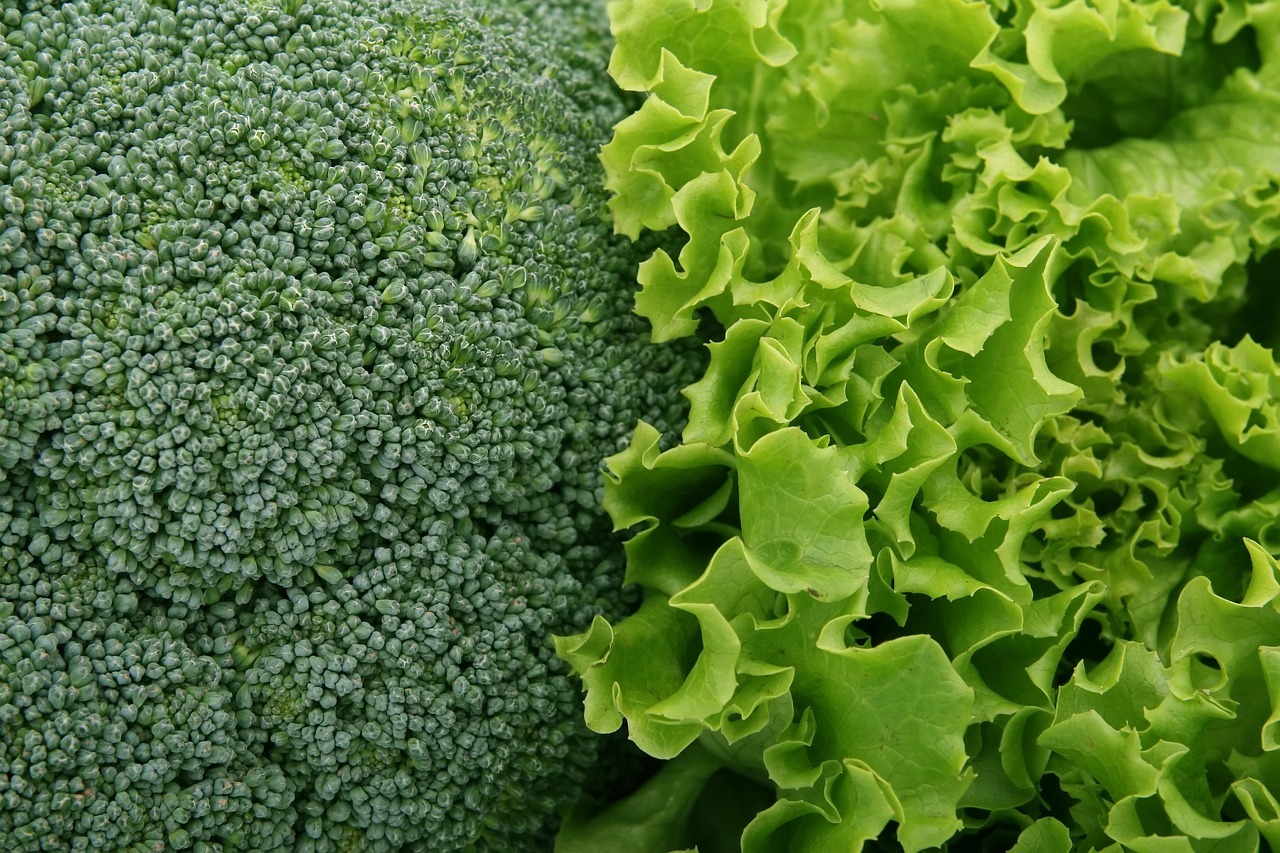 Medallones de papa y brócoli: receta fácil, saludable y económica