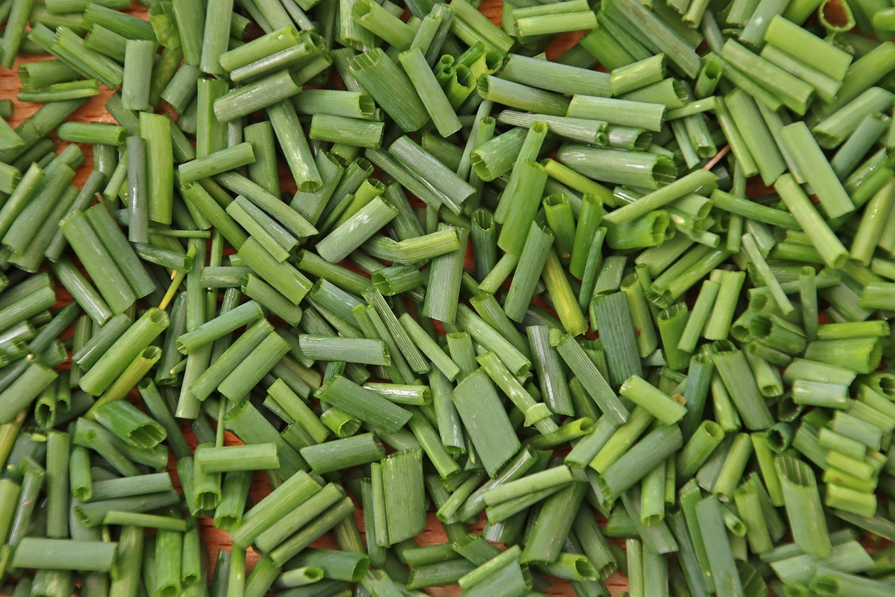 Cómo Cultivar Cebollín en Casa Todo el Año: Guía Práctica para Principiantes