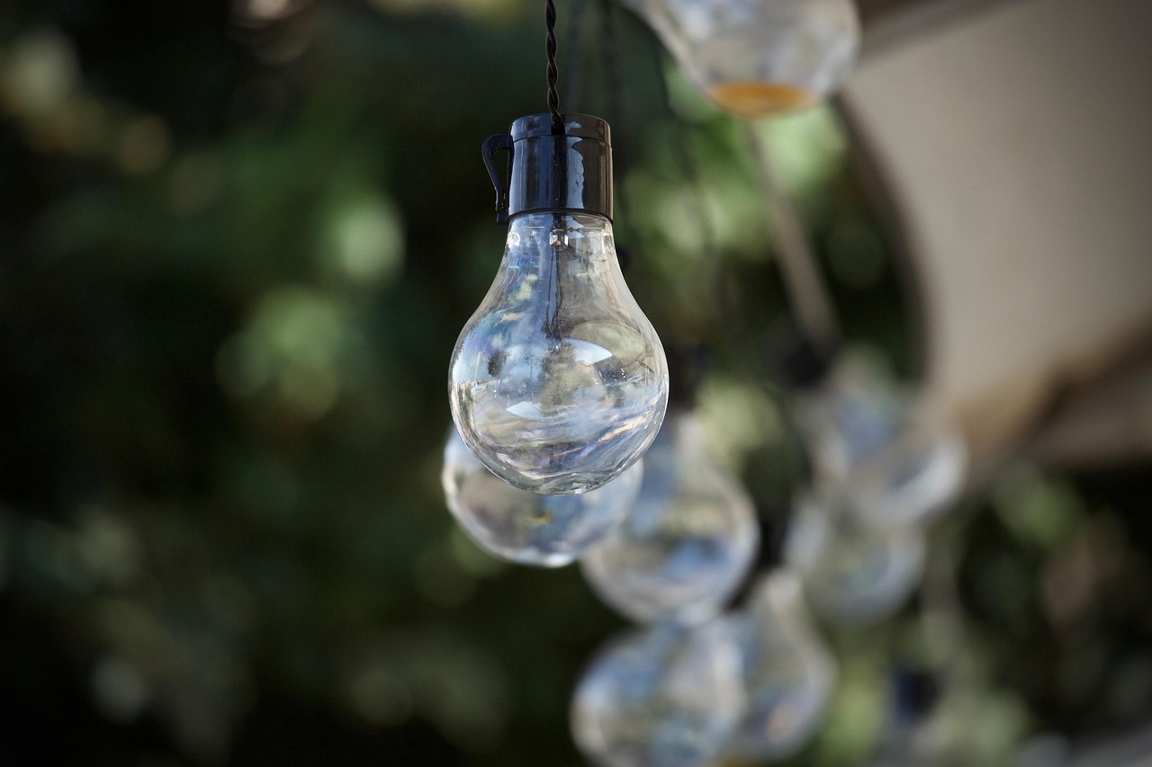 Ideas Creativas de Decoración con Suculentas para el Hogar: Guía DIY Paso a Paso