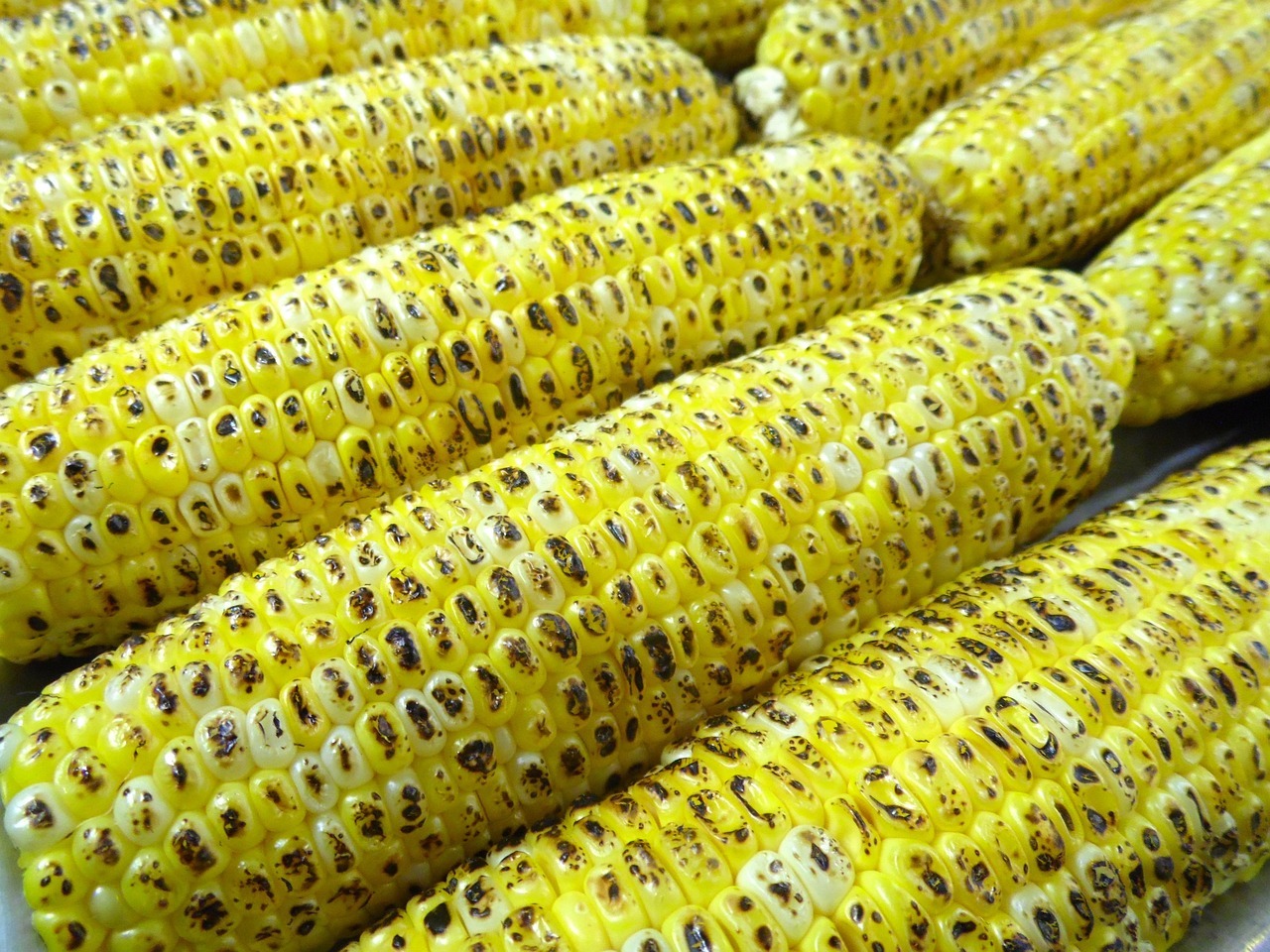Panqué de Elote Tierno: Receta Casera Fácil, Esponjosa y Llena de Sabor