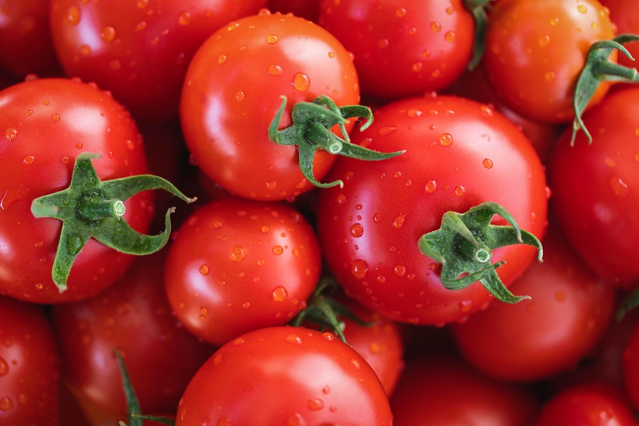 Cómo cultivar tomates más fuertes en casa: 7 técnicas prácticas paso a paso