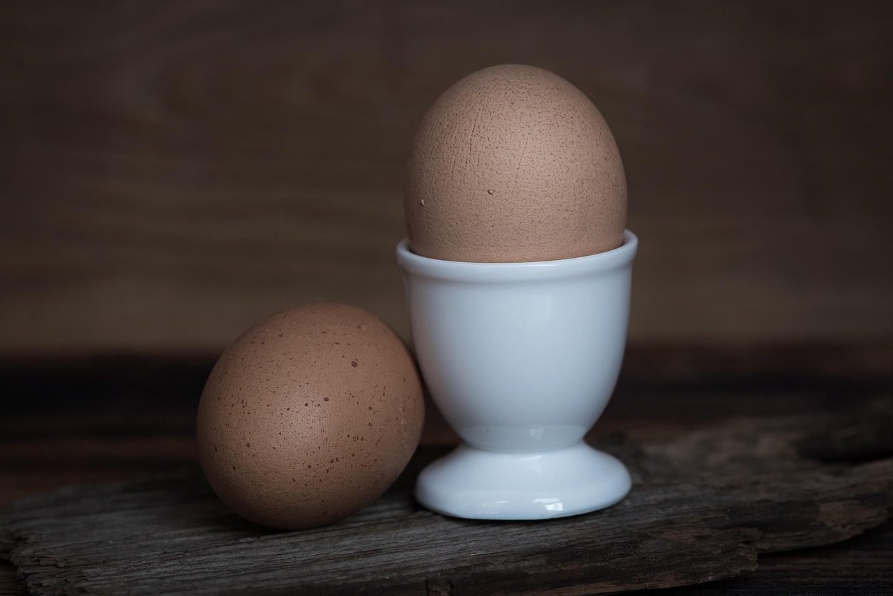 Cómo hacer florecer tu Hoya con una solución natural de cáscara de huevo