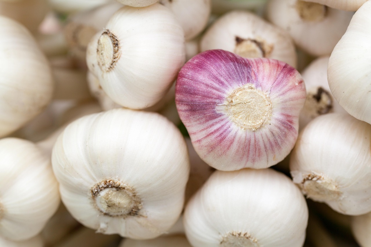 Cómo revivir orquídeas con raíces dañadas usando agua de arroz y ajo