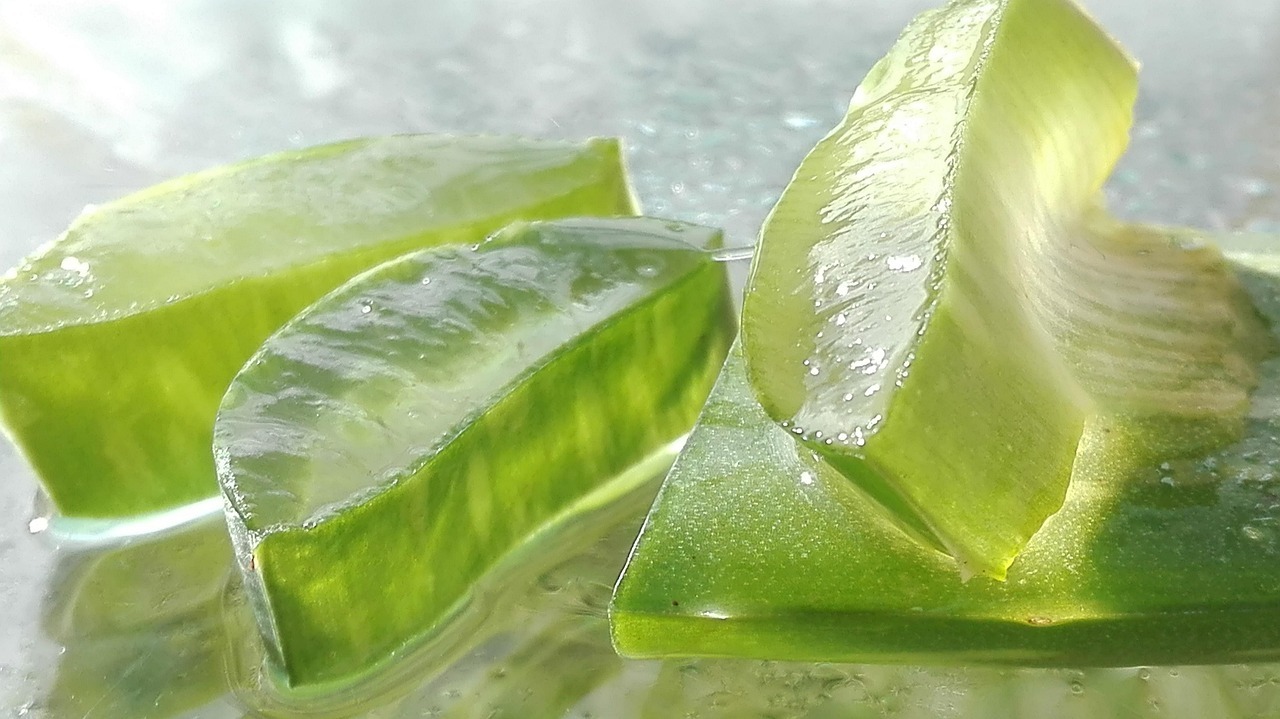 Cómo usar aloe vera y vitamina B1 para cuidar orquídeas: resultados en 30 días